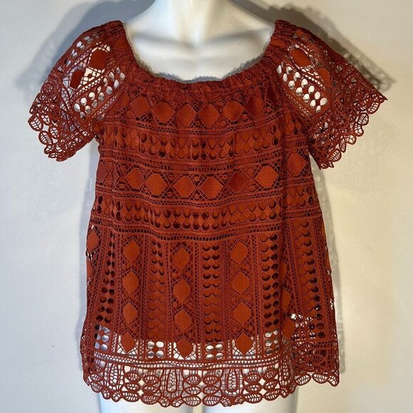 Maurices NWT SZL Rust crochet lace blouse Boho Chic Cottage Prairie Romantic Art - Picture 1 of 11